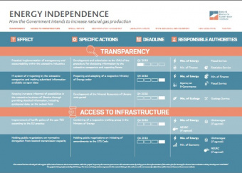 What does the Government plan to do to increase gas production? (infographics)