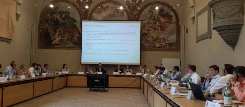 Представники DiXi Group взяли участь Літній школі з енергетичного законодавства (відео).