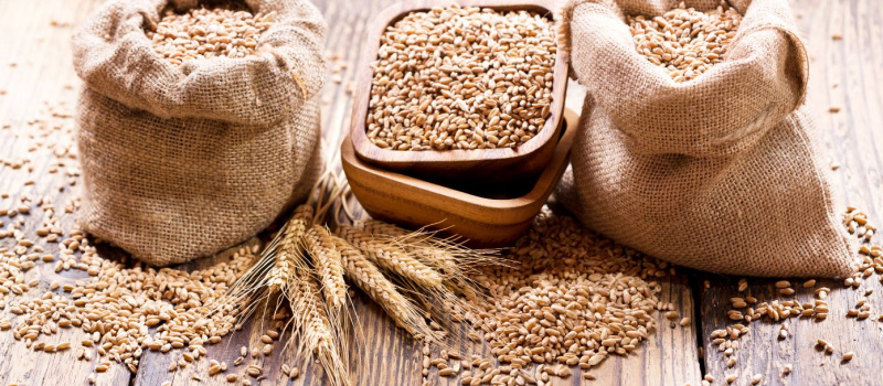 EU-UA CSP is developing recommendations for improving food security