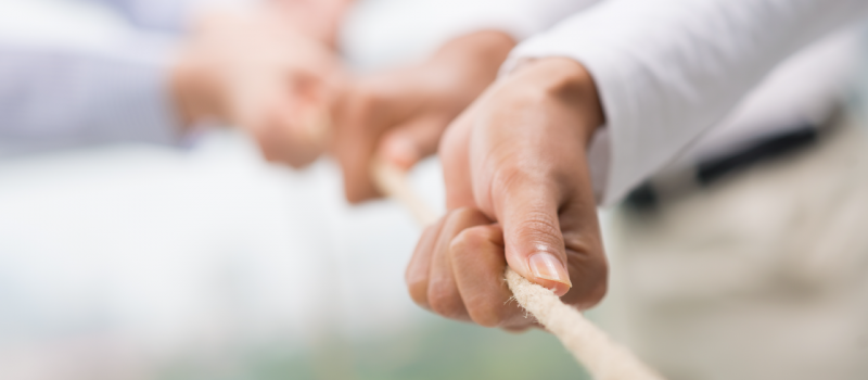 DiXi Group шукає тренера для проведення тімбілдінгу