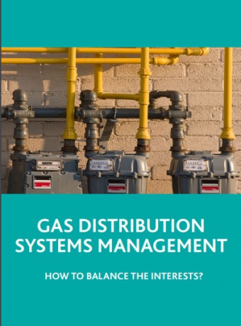 Gas distribution system management: how to balance the interests?