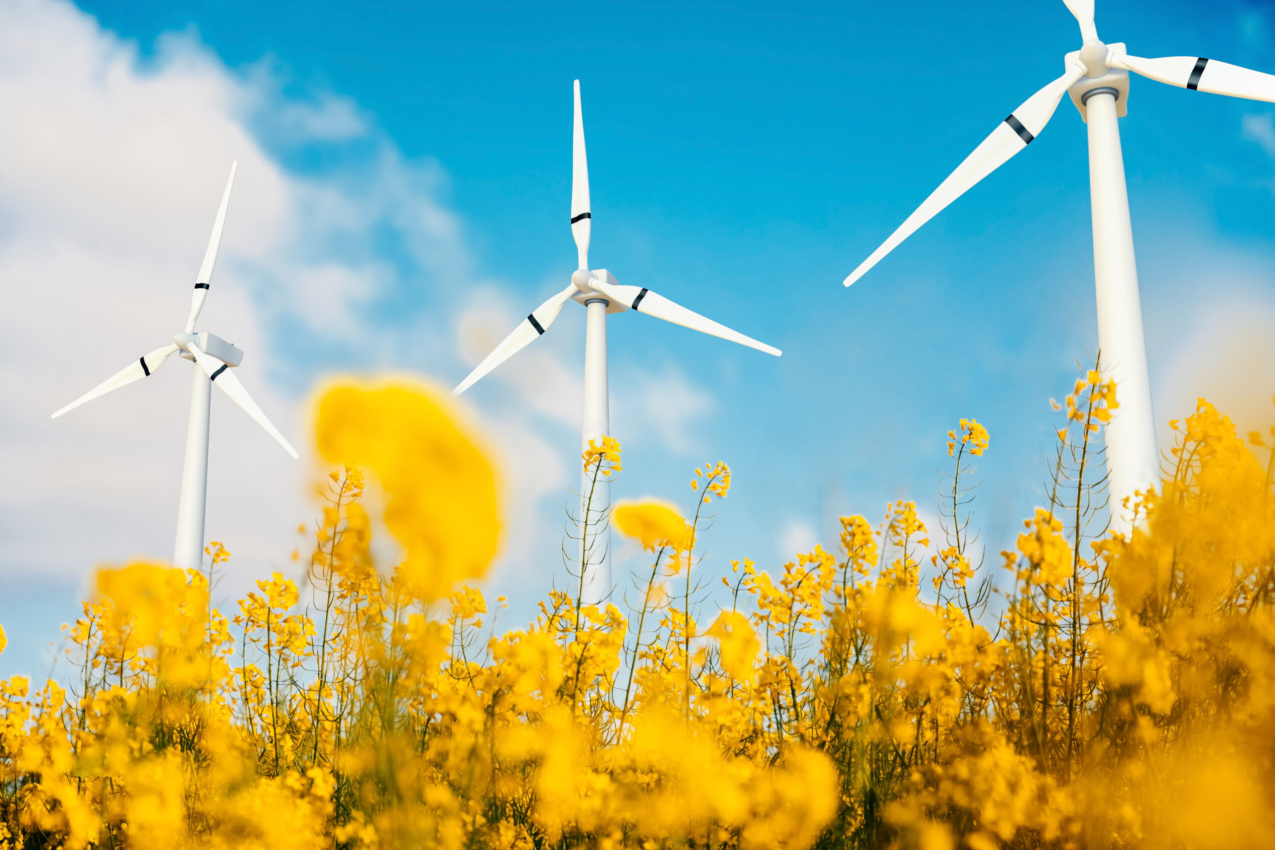 Реформи на підтримку зеленої реконструкції України