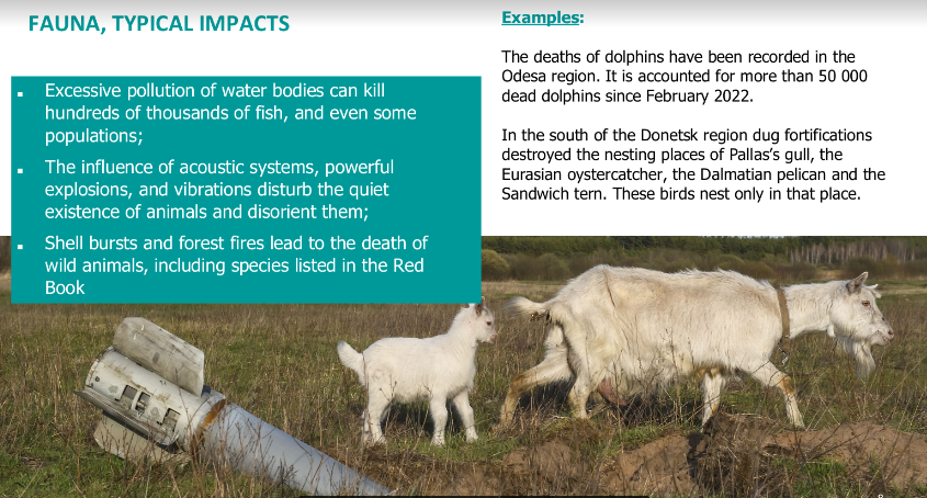 DiXi Group analyst Olga Polunina spoke at COP 27