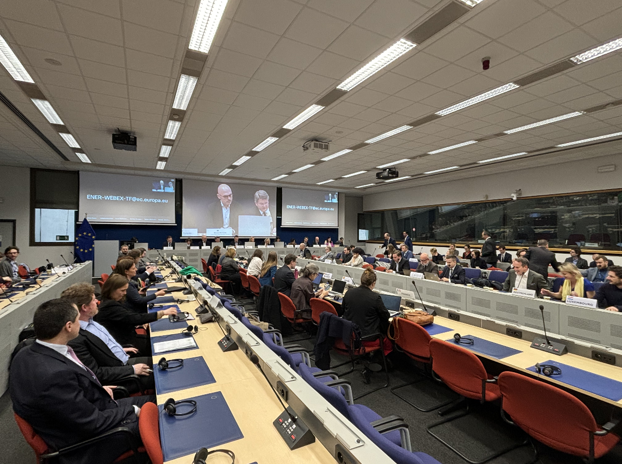 DiXi Group взяв участь у презентації проєкту НПЕК Єврокомісії