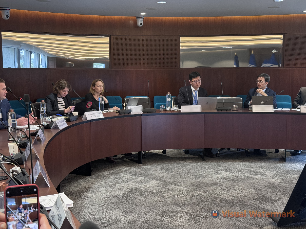 DiXi Group to help develop a Strategy for the development of critical raw materials