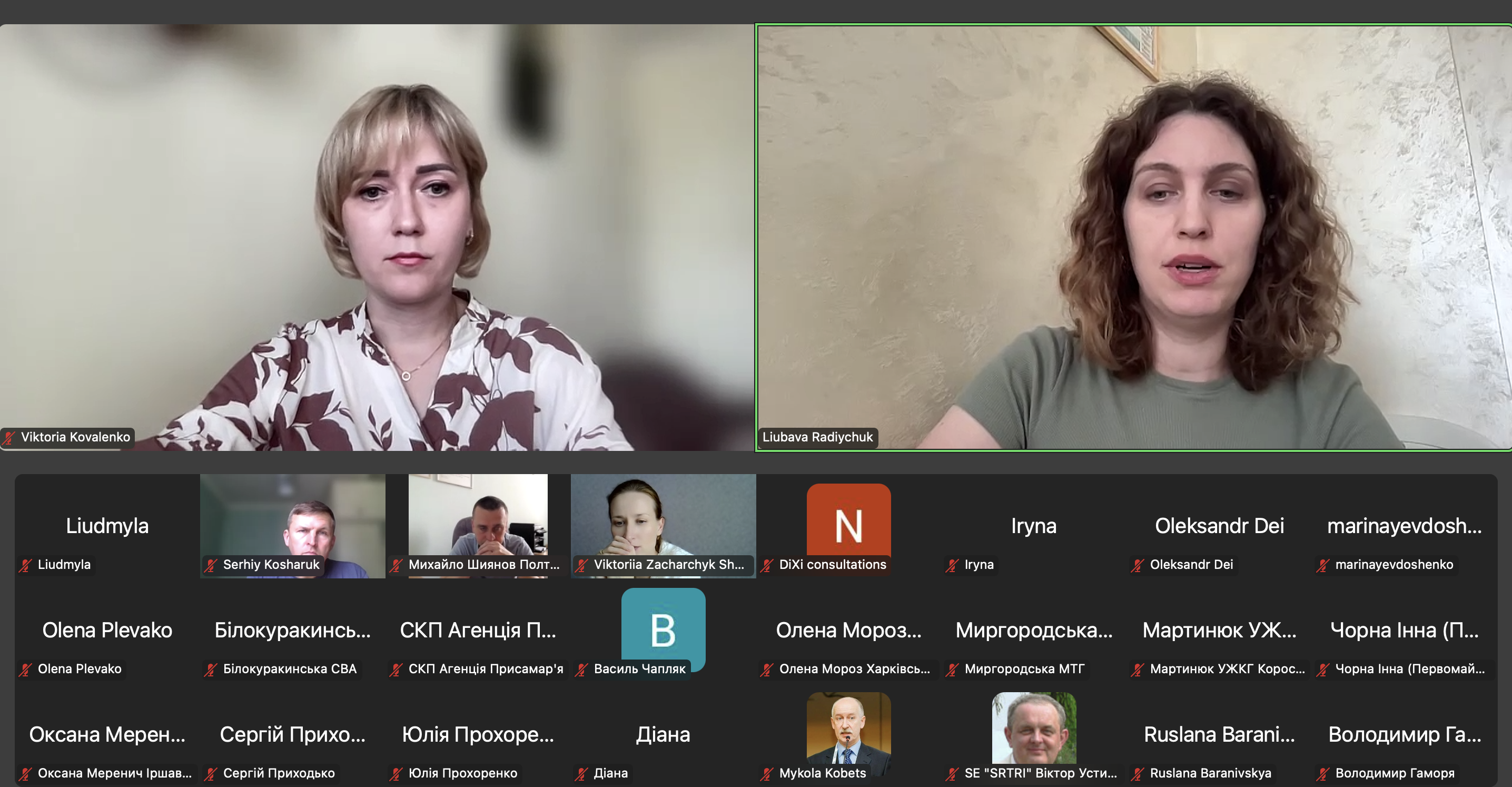 Кліматичні цілі, враховані в МЕПах, можуть допомогти громадам залучати інвестиції – підсумки обговорення змін до Методики документів